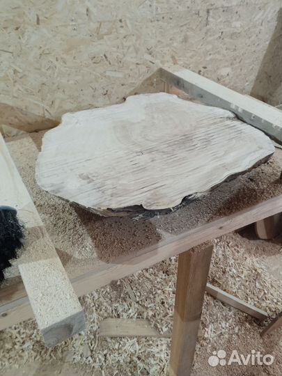 Спил капа березы