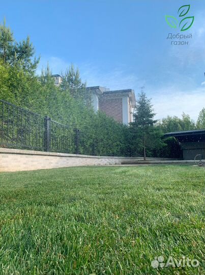 Рулонный газон