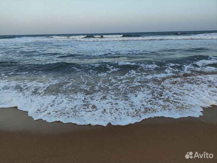 Учитель китайского языка