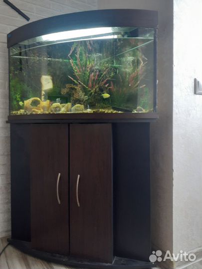 Продаю полностью укомплектованный аквариум на150 л