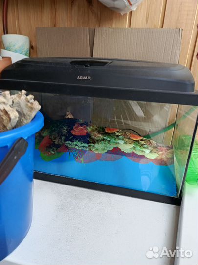 Аквариум