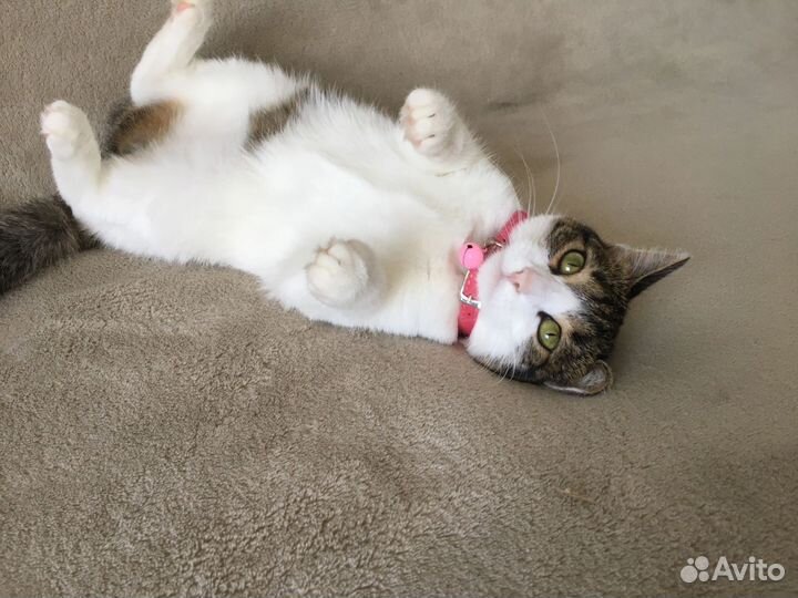 Малышка ищет дом