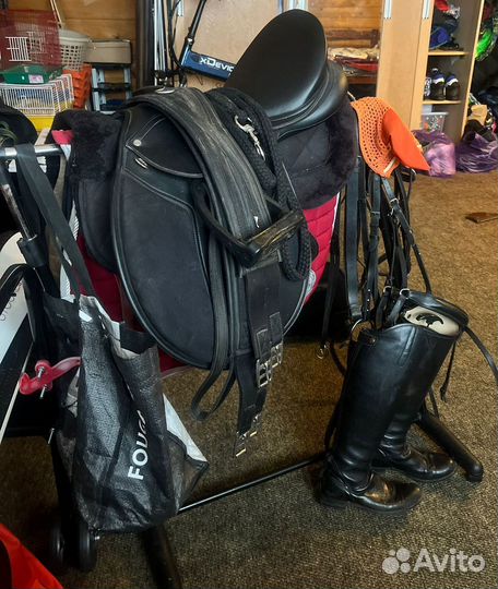 Амуниция для лошади