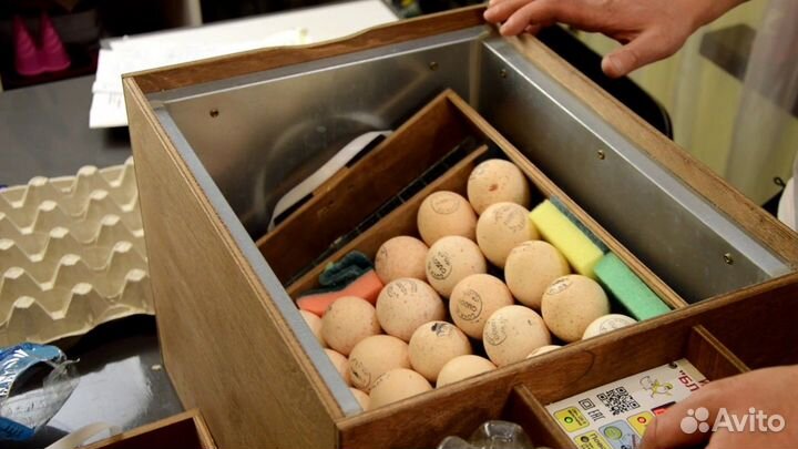 Инкубатор для яиц Блиц 48 Ц 10 автоматический