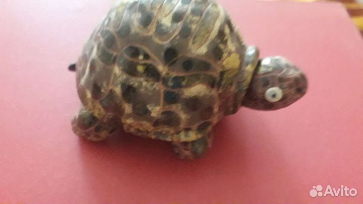 Черепаха-Шкатулка керамика