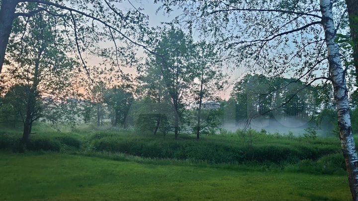 Участок 10 сот. (СНТ, ДНП)