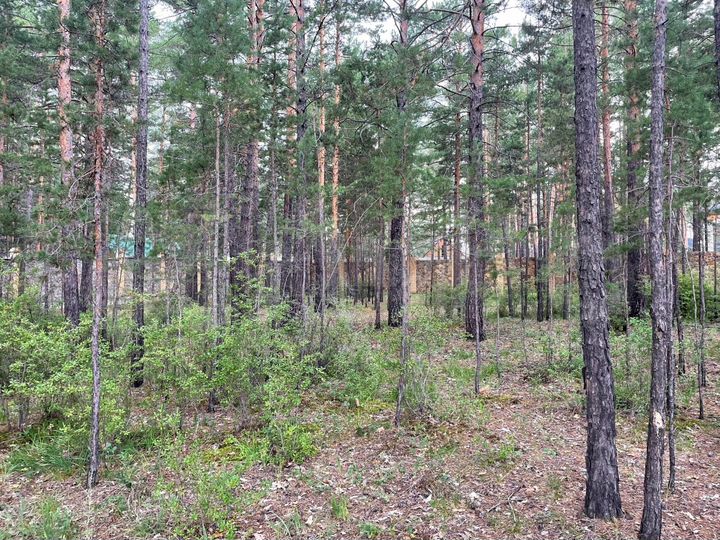 Участок 12,9 сот. (ИЖС)