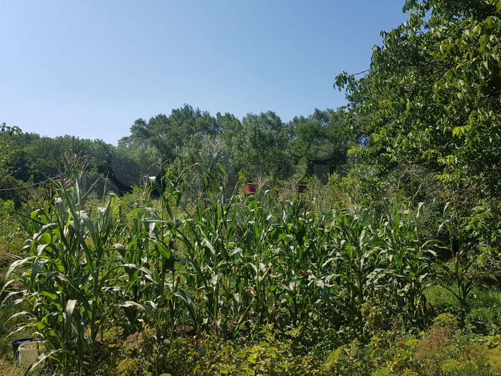 Дом 40 м² на участке 30 сот.