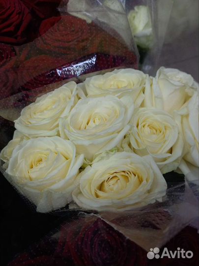 Роза белая букет цветов доставка Некрасовка рядом