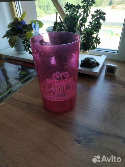 Горшок для тюльпанов