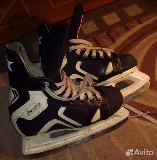 Коньки
