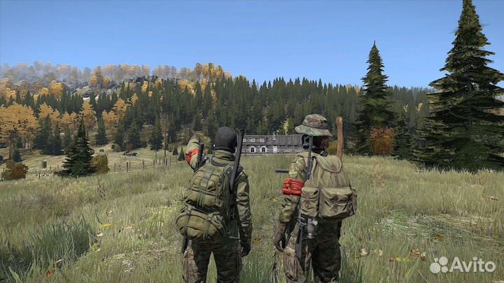 DayZ PS4/PS5 на Русском