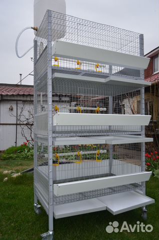 Клетки для бройлеров, кормушки для бройлеров