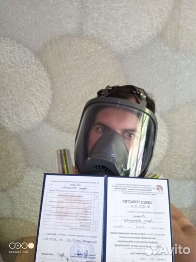 Уничтожение насекомых, запахов и грызунов