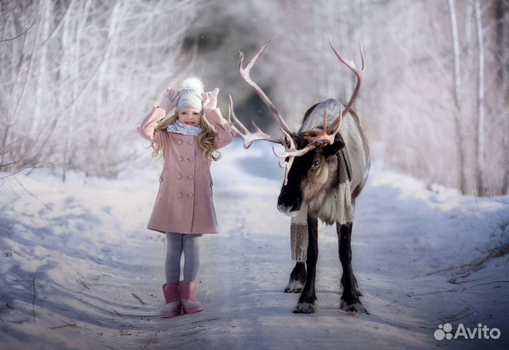 Животные на ваше мероприятие