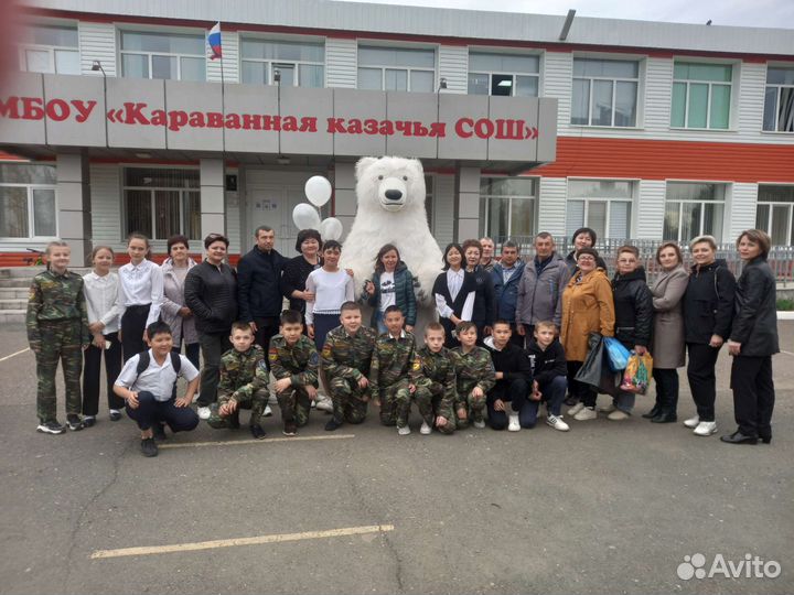 Белый медведь, поздравление от мишки, аниматор