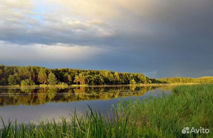 Тур в Беларусь на 7 нч