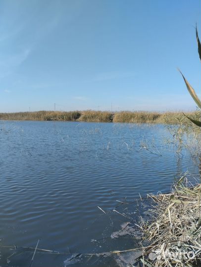 Платная рыбалка ростов на дону ст. Кривянская