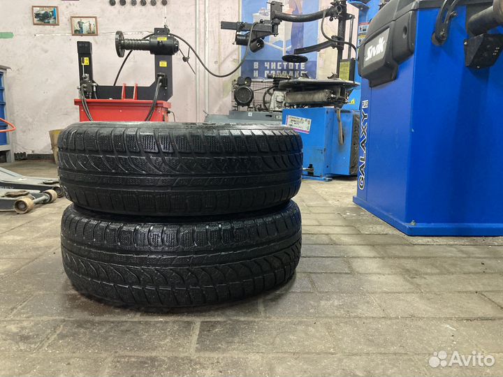 Dunlop SP Winter Response 175/65 R15