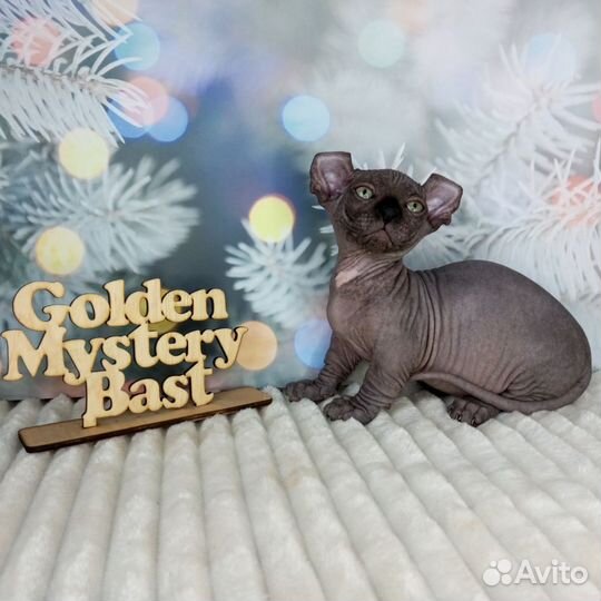 Сфинкс Двельф