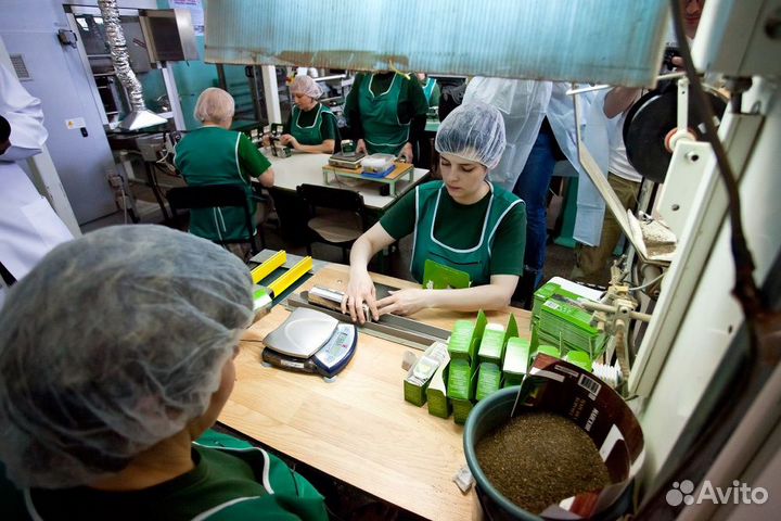 Упаковщик чая работа сидя вахта 20 смен/ж