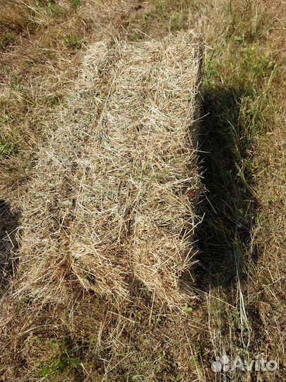 Сено люцерны с разнотравьем