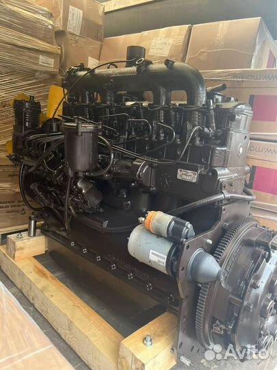 Двигатель Д260 Новый