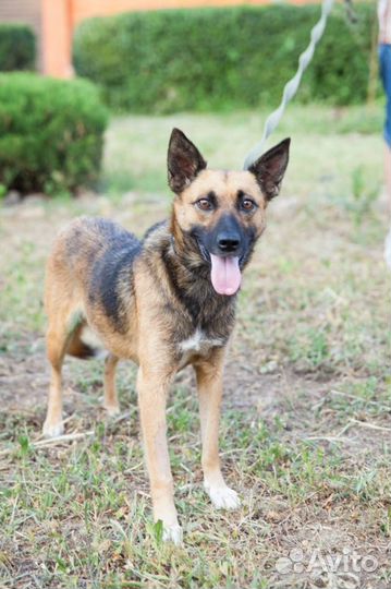 Помогите найти