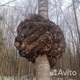 Кап, сувель, шпальт - что это? Ликбез от Лесопилки Юркова