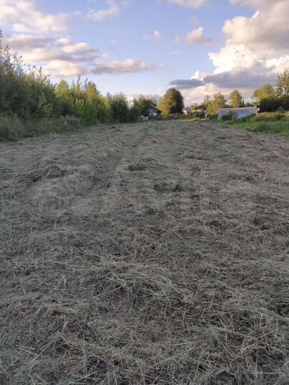 Участок 11 сот. (СНТ, ДНП)