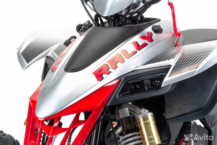 Комплект пластика (п) 250 rally