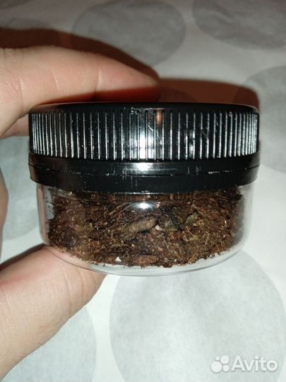 Грунт живой для растений