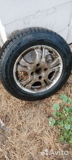 Pirelli Ice Zero 175/70 R14