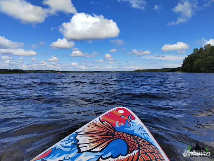 Sup борды на Хепоярви. Токсово аренда продажа