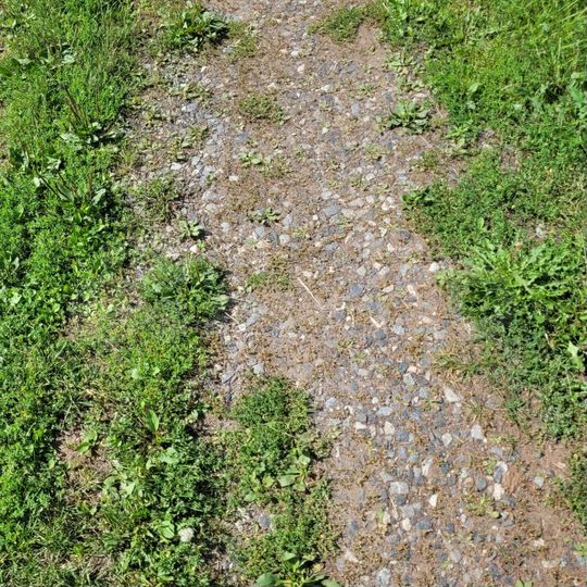 Дача 100 м² на участке 13,5 сот.