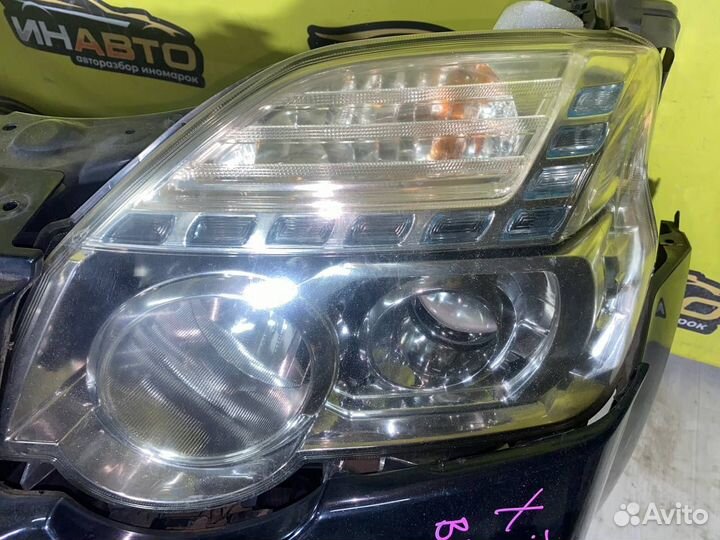 Ноускат Nissan x-trail t31