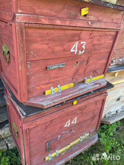 Улей для пчел