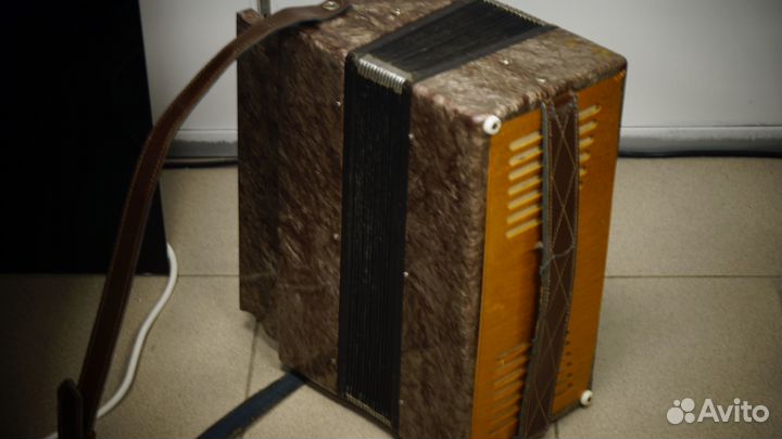 Гармонь Казань