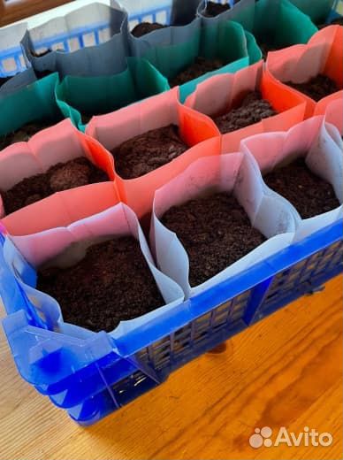 Пакеты для рассады 0,6 литра