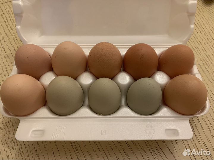 Яйца куриные домашние продажа
