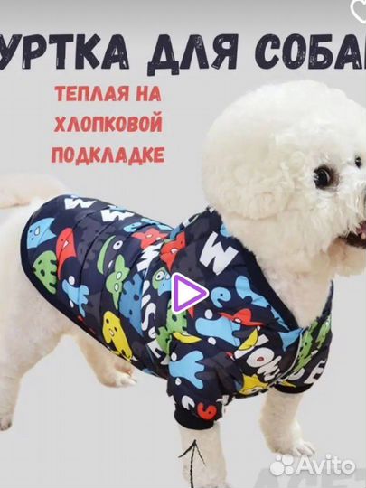 Куртка для собак мелких пород