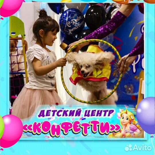 Артисты,аниматоры,шоу с животными,пудель-шоу,цирк