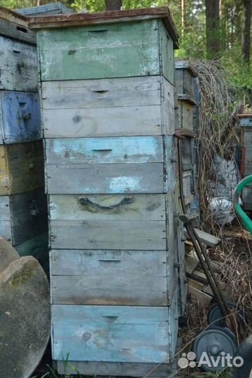 Ульи Дадана, Рута, магазины