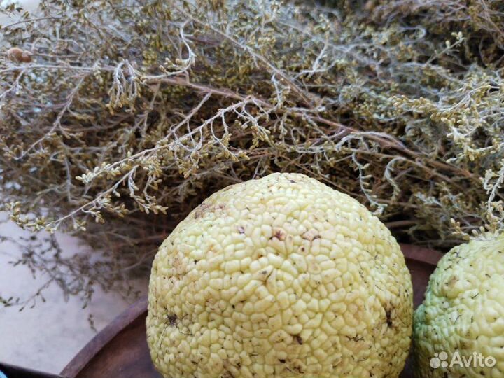 Мазь лечение варикоза