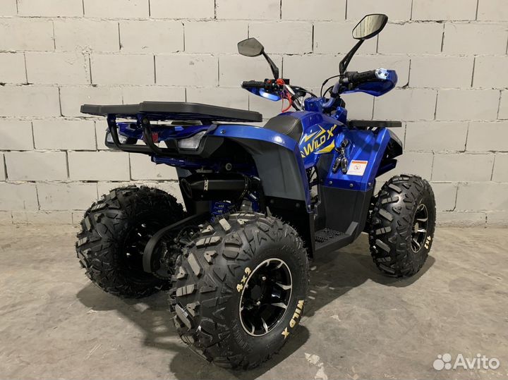 Квадроцикл Motoland wild X PRO