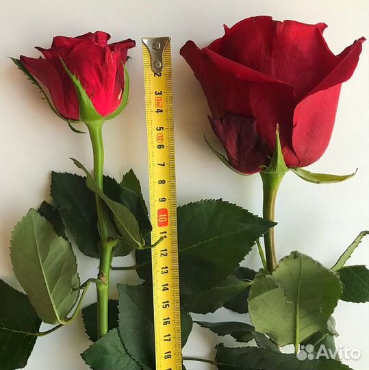 Букет Снеговик 50 см Эконом