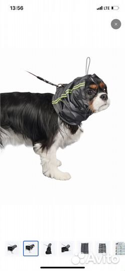 Шапка снуд для собаки