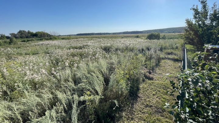 Участок 15 сот. (ИЖС)