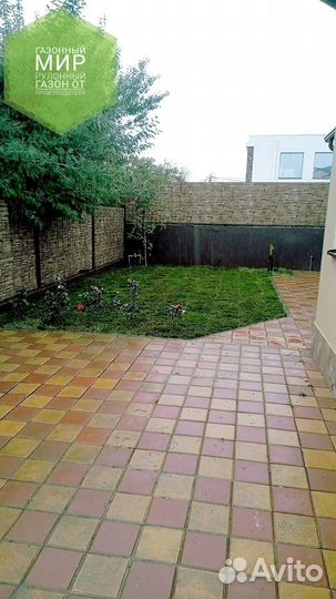 Рулонный газон