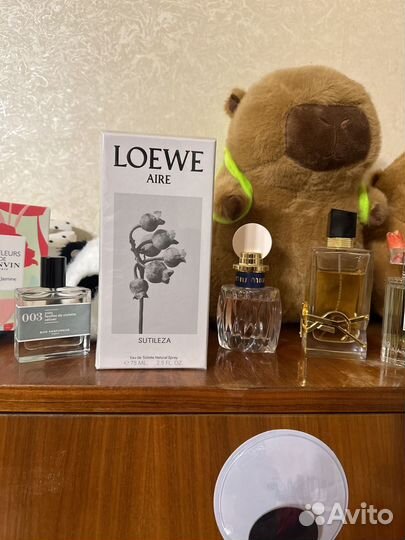 Loewe aire sutileza